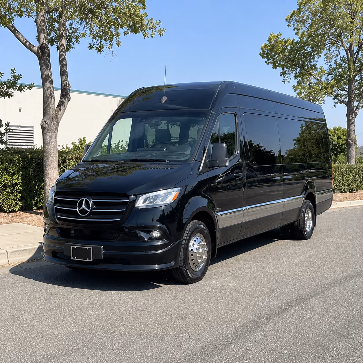 garden grove 10 passenger sprinter van