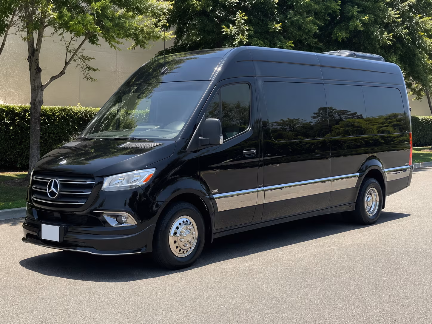 garden grove 18 passenger sprinter van
