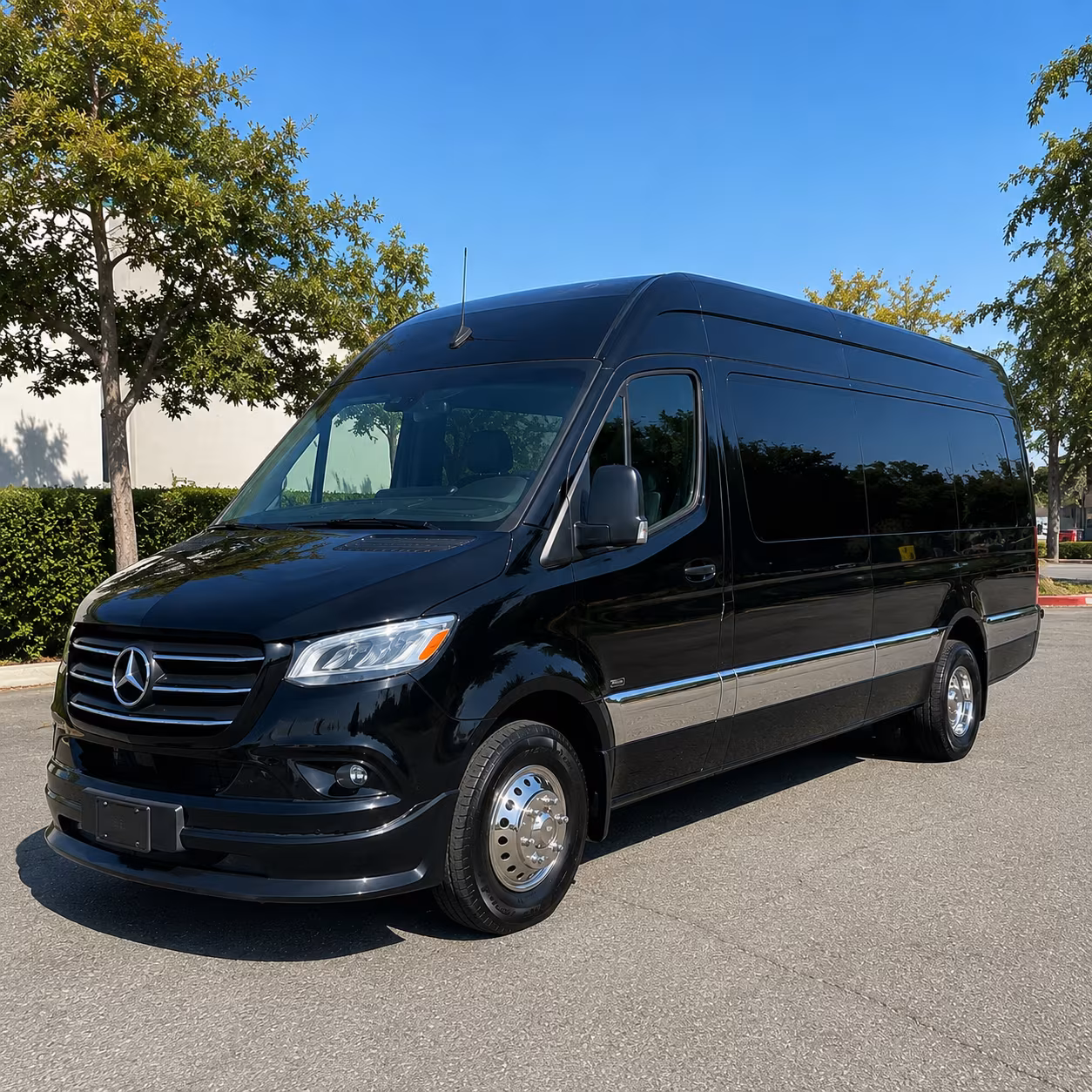 garden grove wedding sprinter van rental